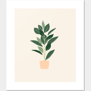 Boho Minimalist potter plants Posters and Art